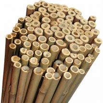 10 Canne Bamboo alte 120 cm Ø 22/24 mm Per piante agricoltura orto arredi strutture in bambù