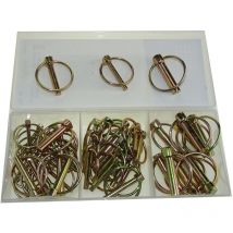 50 goupilles clip assorties 11465