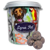 50 pcs. Lyra Pet Gourmet Boulettes de mésanges sans filet à 80 g dans un tonneau de 30 l