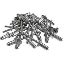 500 rivets alu tete standard de 4.8 x 10 tige acier