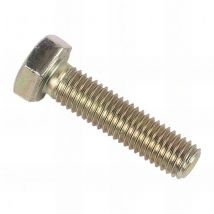 500 vis tête hexagonale F/Total 6 x 10 mm - Zingué bichromaté - XHT8806010CR3B