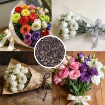 5000 Bunte Lisianthus-samen, Für Den Anbau Im Freien Geeignet, Ideal Als Schnittblumen Und Zur Dekoration Von Garten, Balkon Und Terrasse