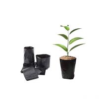 500pcs pot de pépinière en plastique contenant de propagation de plantes 8cmx8cm