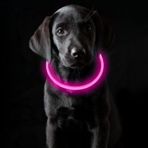 50cm)LED Collier Lumineux Chien Rechargeable et Longueur Ajustable, Collier Chien Lumineux avec 3 Modes d'éclairage, Imperméable Collier Lumineux