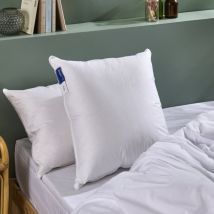 Oreiller Duvet de Canard enveloppe percale de coton - 50x70cm