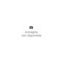 CSA - 531064FULL-1137X - clignotant led solex IP65 blanc/transparent