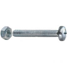 5CF sc viti a metallo testa cilindrica 6X30 con dadi (PZ.10)