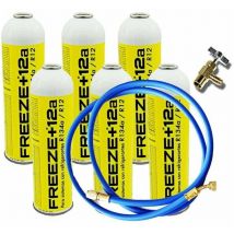 Reporshop - 6 Freeze + 12a 420gr + Valve Bouteilles de gaz écologique + tuyau organique organique R12, R134A