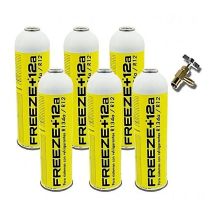 Reporshop - 6 Freeze + 12A 420Gr Ecological Gas Ecological Gas Gotles R24A Substitut Valve organique