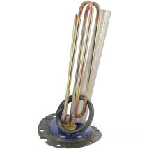 Thermor - 6-Loch-Widerstand 3000w + Dichtung 060469 für Wassererwärmer pacific.