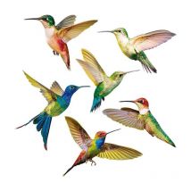6 Pièces Autocollants Colibri,Accroche de Fenêtre d'Oiseau,Stickers Anti-Collision pour Vitres,Simplicité Modèle Colibri pvc Sticker Mural Oiseaux