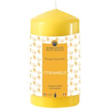 6 Zitronengras-kerzen Zylinder 35h - Devineau