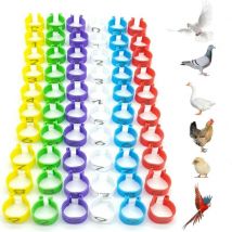 60 pièces Anneaux d'identification pour Poulet Bague d'Identification des Oiseaux Anneaux de jambe en plastique de perroquet Diamètre 16 mm Numéroté