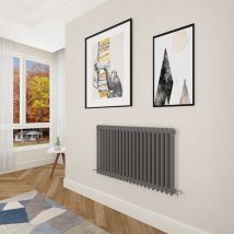 Acezanble - Traditional Radiator Cast Iron Style Radiator 2 Column Anthracite 600 x1010mm - Anthracite