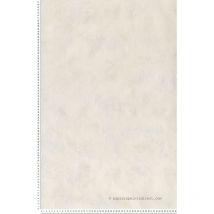 Décoweb - Papier peint AquamuraVariations - LTC-51123206
