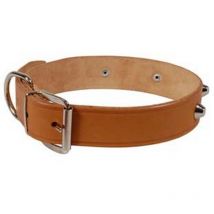 6PZ collare per cani cuoio extra naturale finta cucitura con borchie - CM.65X4 cuoio naturale
