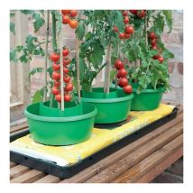 Garden Mile - 6x Plant Watering Halo Rings, Tomato Irrigation & Grow Support