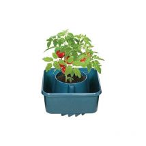 Garden Mile - 6x Plant Watering Halo Rings, Tomato Irrigation & Grow Support