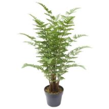 Leaf - 75cm Artificial Fern Plant