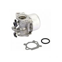 Carburateur BRIGGS ET STRATTON 799866
