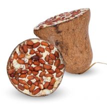8 pcs. Cloche d'alimentation Lyra Pet avec cacahuètes