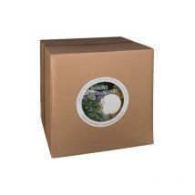 8 seasons Leuchtkugel Outdoor 60 Bluetooth