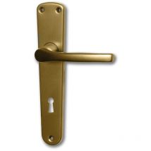 8PZ maniglia F4 foro patent