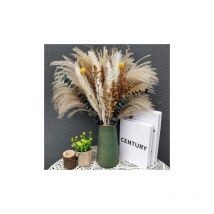 Mezheng - Fleurs séchées, Naturelles Herbe de la Pampa-7 Types différents d'eucalyptus séchées décoration