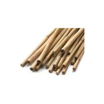 90cm Bamboo Canes 20 pack