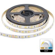 Trade Shop Traesio - Trade Shop - 980LED 55W cct 3000K bis 6500K 24V dimmbare streifen klebeband spule 5M -