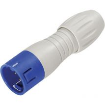 99 9133 462 12 Mini connettore circolare Spina dritta Tot poli: 12 1 pz. - Binder