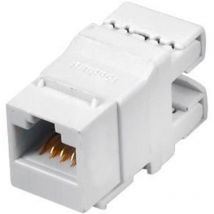 Tec MKN-U5-1 connecteur de fil RJ45 Blanc - Alan
