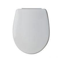 Wirquin Pro - Abattant thermodur melody arena avec descente assistée 20721589