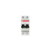 Disjoncteur 2P - Courbe d - 10 kA - 32A - a vis ABB