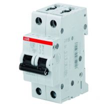 ABB - Leitungsschutzschalter 2P 25A 4,5kA Kurve c 2M S598507