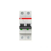 Interruttore magnetotermico automatico s202 c20 6ka 2p ABB s466004