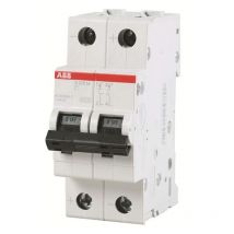 Interruttore magnetotermico ABB 2P 16A 10KA c 2M S202M S550307