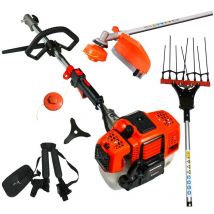 Abbacchiatore Olive Decesplugiatore 48cc