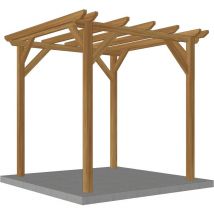 WMU - Abri buche en bois massif 2.3 x 2.3 m