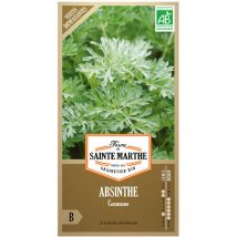 1500 graines ab - Absinthe commune - La Ferme Sainte Marthe