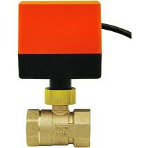 Seenlin - AC220V AC24V DC12V vanne motorisee 2 voies - Vanne a sphere 2 voies motorisee DN15 DN20 DN25 DN32 DN40 DN50 (AC220V DN20)