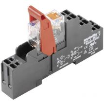 Accoppiatore relè riderseries Weidmüller rcikitp 24VAC 1CO ld n/a 16 a