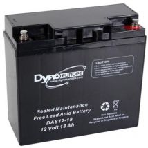 Dyno Europe - accu acide-plomb 12V-18Ah 180x76x167mm RI624