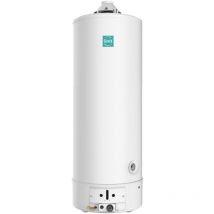 Styx - Chauffe-eau Gaz Sol Cheminée tes x (sga x) Ariston 193 Litres