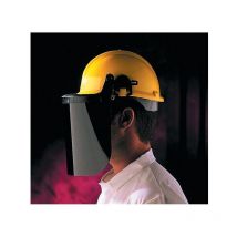 Centurion - Accy: S595 225mm Acetate Shade-5 Face Screen