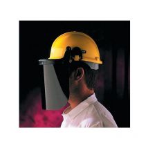 Centurion - Accy: S593 225mm Acetate Shade-3 Face Screen