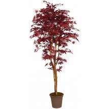 Acero Luxe Seminaturale • Rosso • Tronco Mansanisi - 150