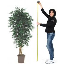 Acero Seminaturale • Verde • Tronco Mansanisi • Mini foglie - 250