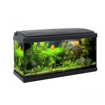 Acquario milo 80 impianto luce led 93 litri