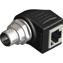 M12 Mâle vers Prise femelle RJ45 Femelle ( Prix pour 1 ) - Rs Pro